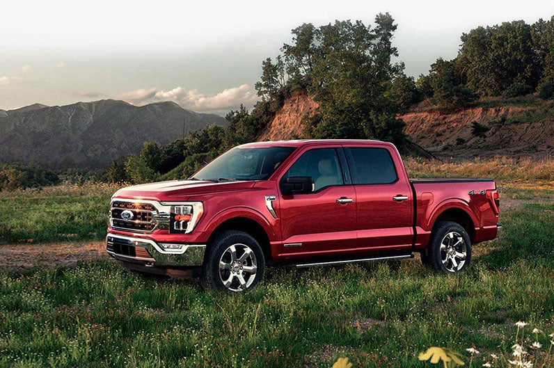 new Ford F150