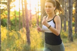 fitness in chandler az 