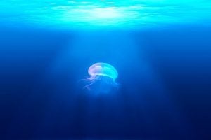 Things to Do in Phoenix, AZ 
