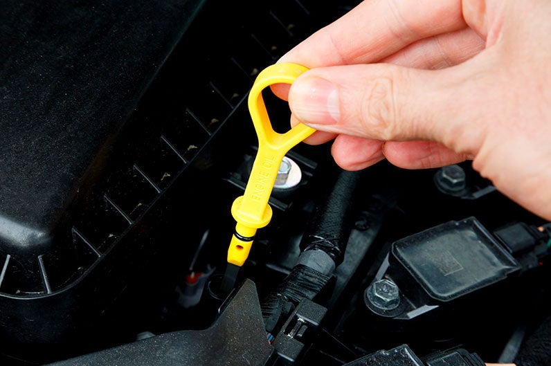 ford fluid level