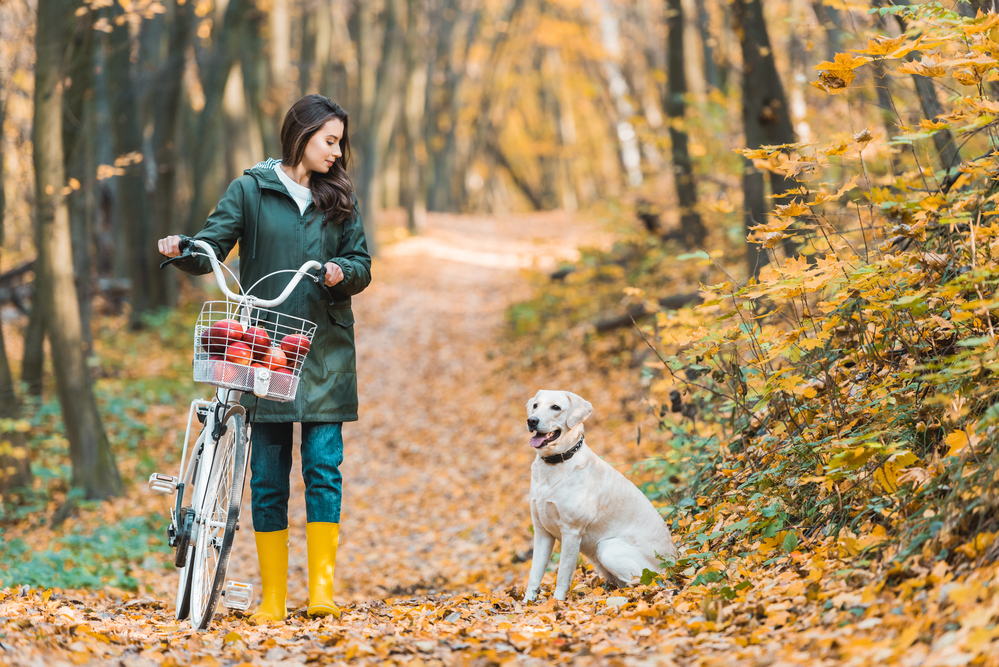 6_of_the_Best_Bike_Paths_and_Trails_Near_Conway_SC_Conway_Ford