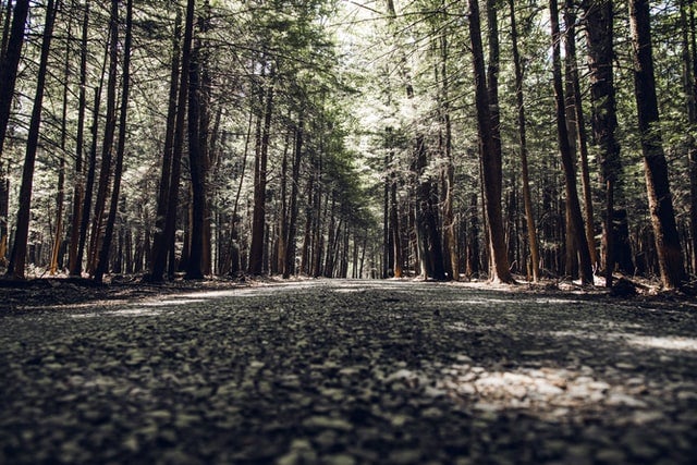 State park