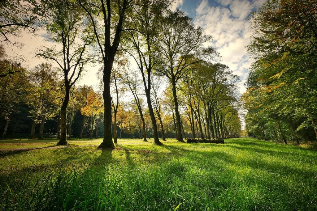 Local parks near Conway SC