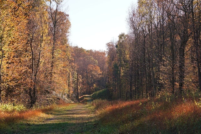 Hiking trails