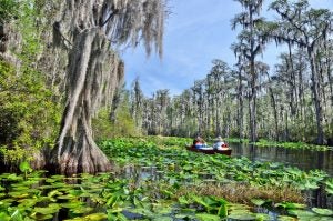 Marsh Lands near Smyrna, Georgia | Wade Ford