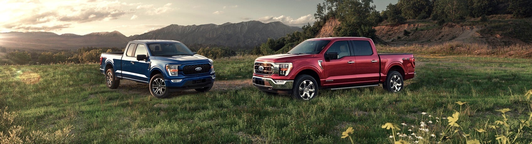 Ford F150 Blue and Maroon in Field