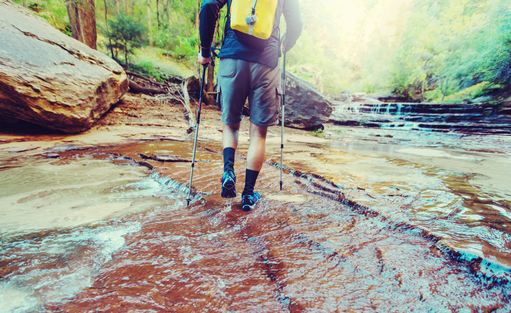 5_Favorite_Hiking_Trails_and_Parks_Near_Rochester_637435507272007080