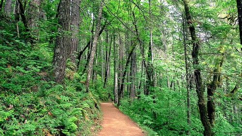 Hikes Near Rochester, MN