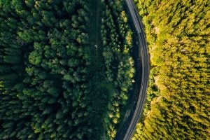a winding road amidst a green forest