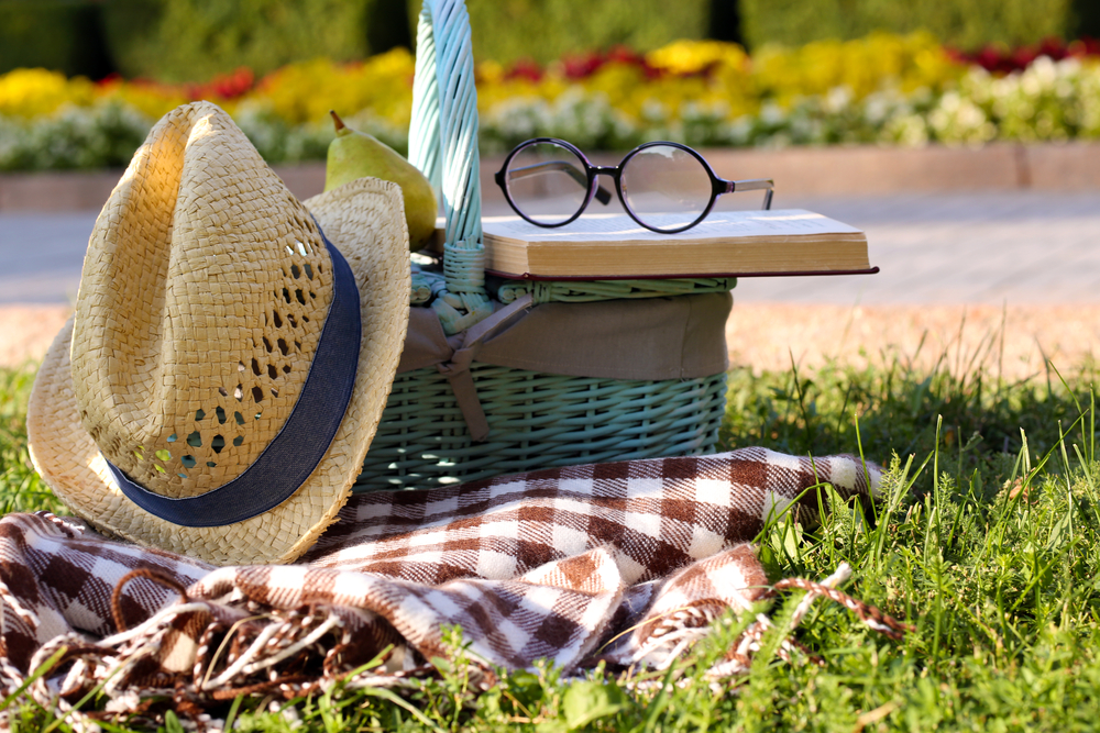 6_Great_Picnic_Spots_in_and_Around_Rochester_637654088876947578