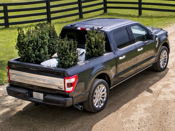 2022 Ford F-150 Truck Bed