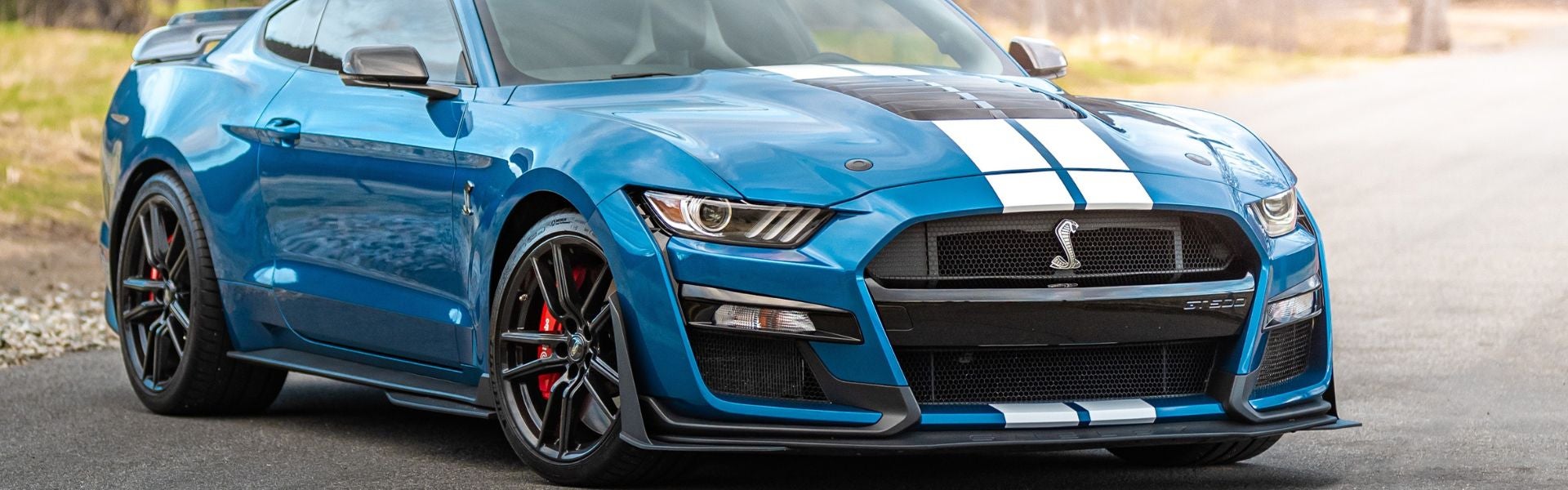 Austin Ford Shelby Super Snake