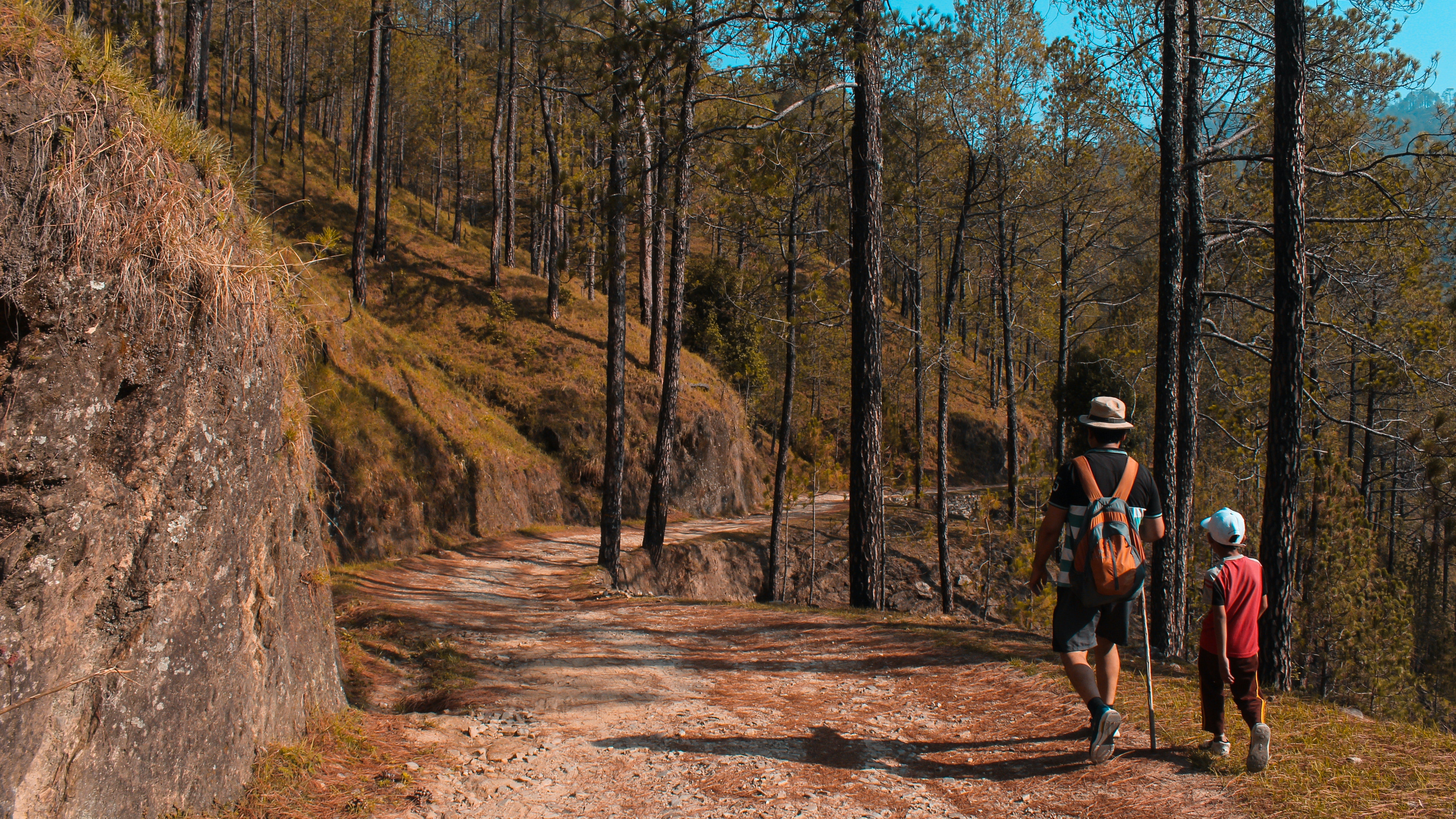 Photo by Yogendra Singh from Pexels