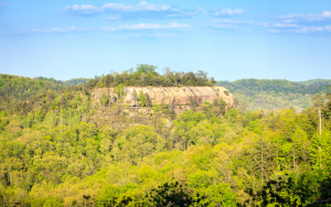 Boone's Cave Park in Lexington, NC