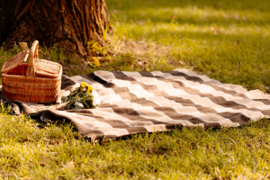 6_Favorite_Spots_for_Picnics_in_and_Around_Salisbury_NC_Cloninger_Toyota