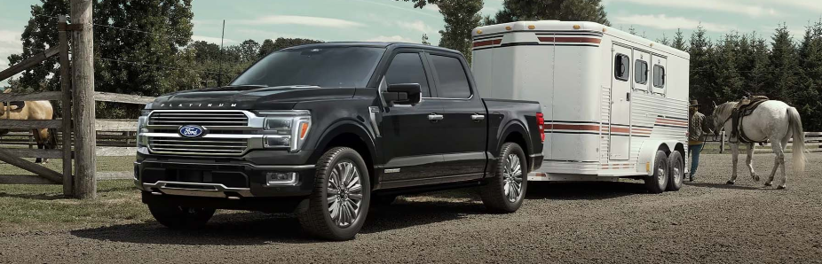 25 f150