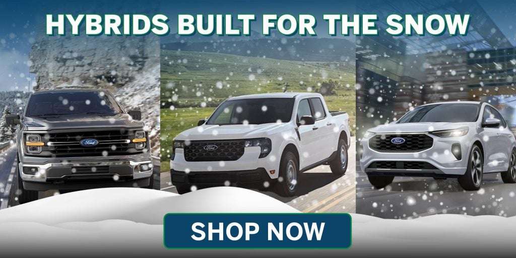 Hybrid Cars in Cold Weather