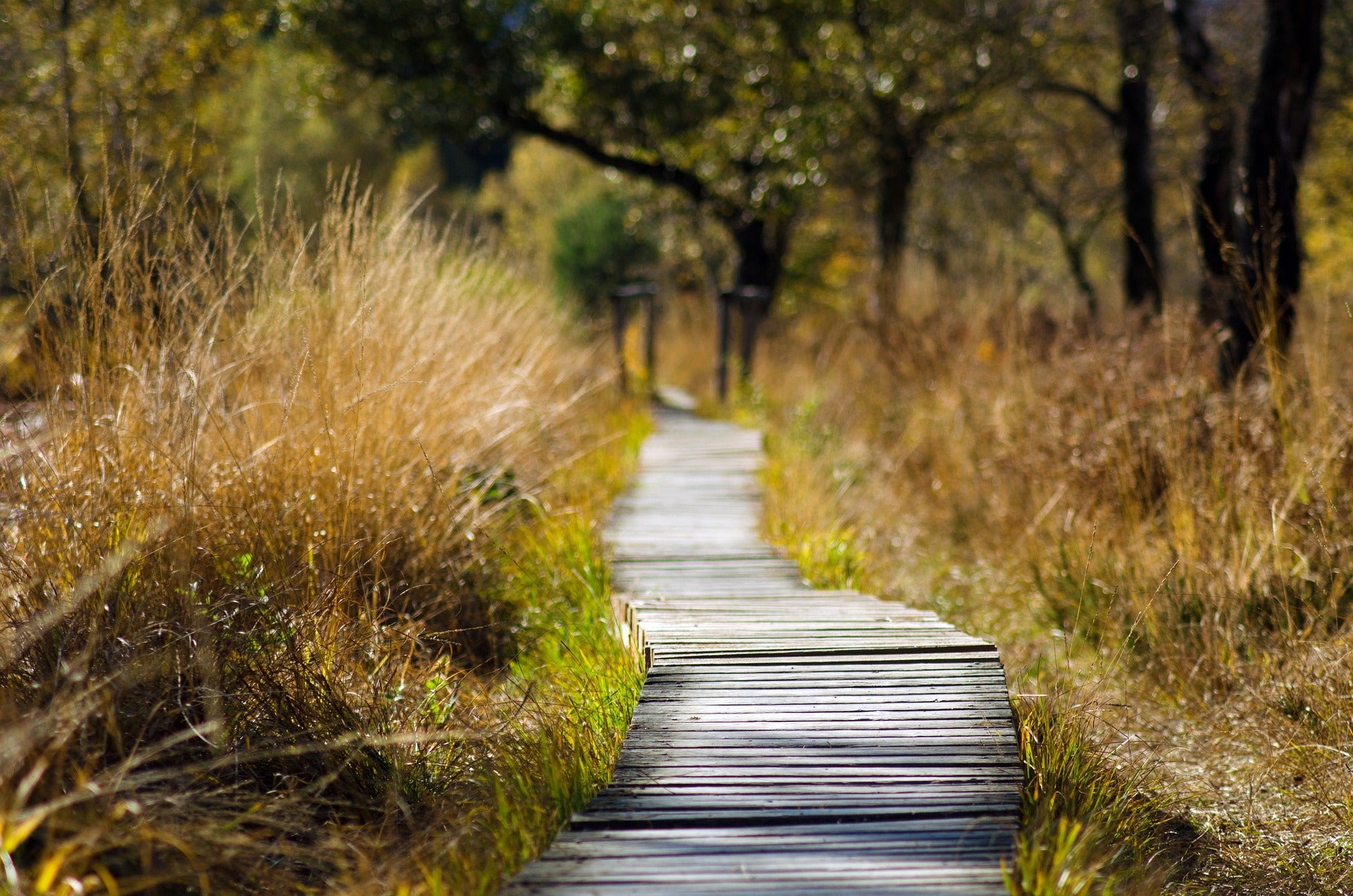 4 Spring Activities You Can Drive to Near Moncks Corner, SC