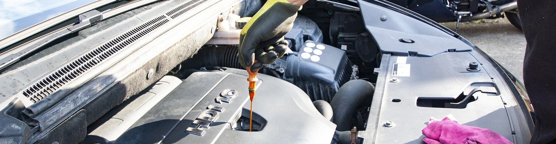 Local Used Cars Dealer