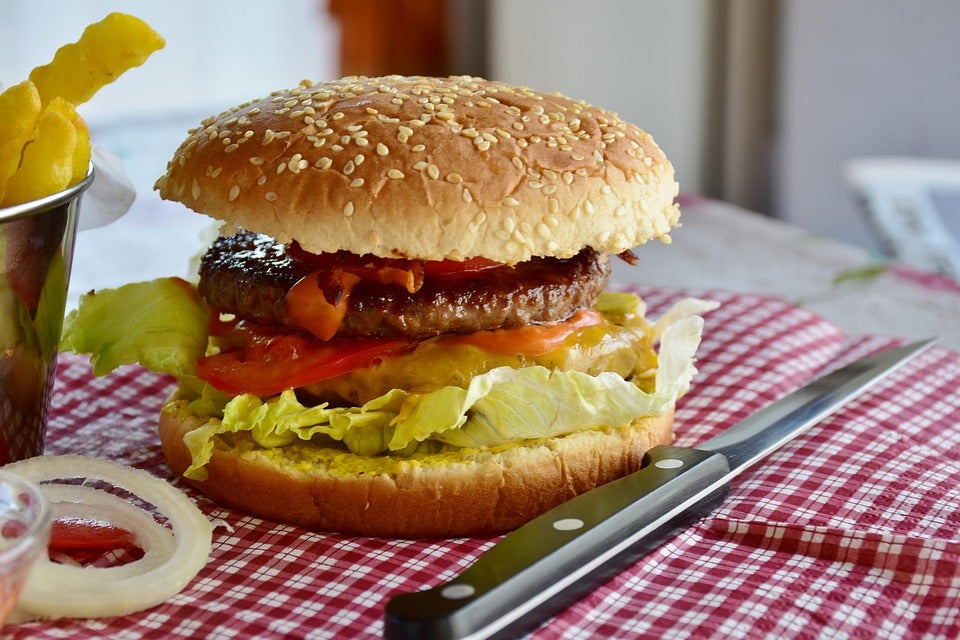 Free Burger Hamburger photo and picture