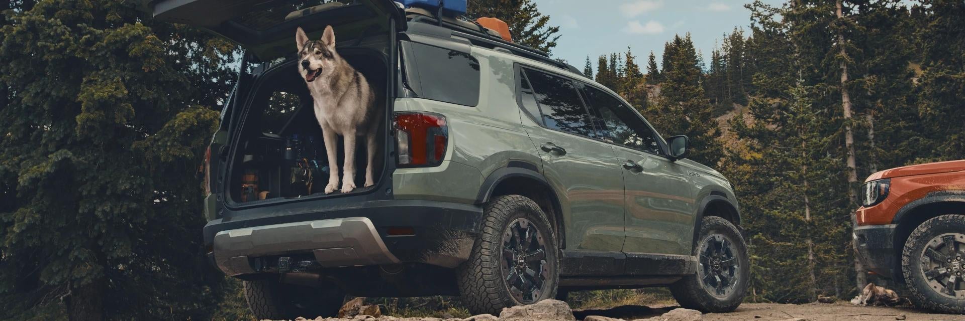 2026 Honda Passport