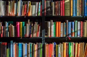 4 Great Bookstores Around Toledo