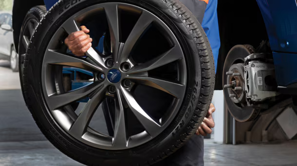Service Specials in Boerne, TX