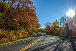 Fall Colors 