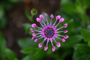4 Unique Places Around Alexandria, VA