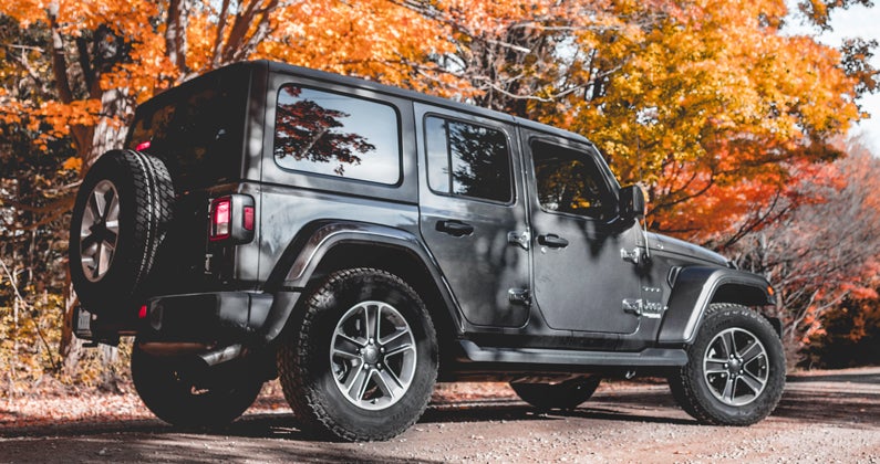 Fall Activities