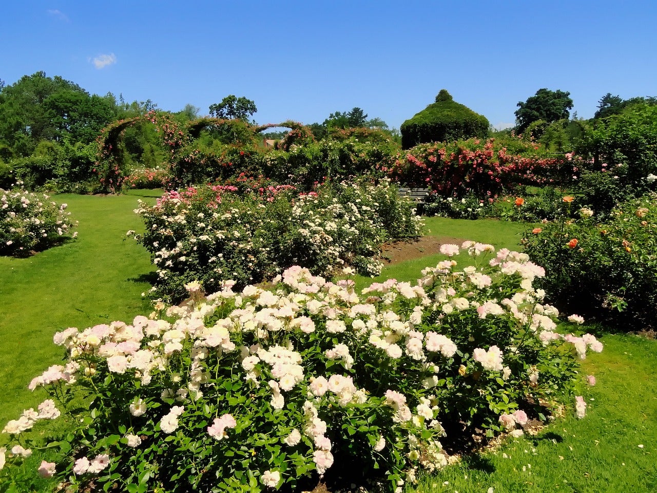 Beautiful garden in Hartford, Connecticut