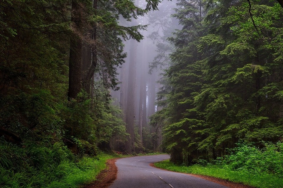 day trips near asheboro north carolina 