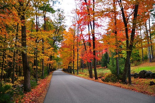 Fall Foliage in the Rochester, MN | car Dealership in Rochester, MN