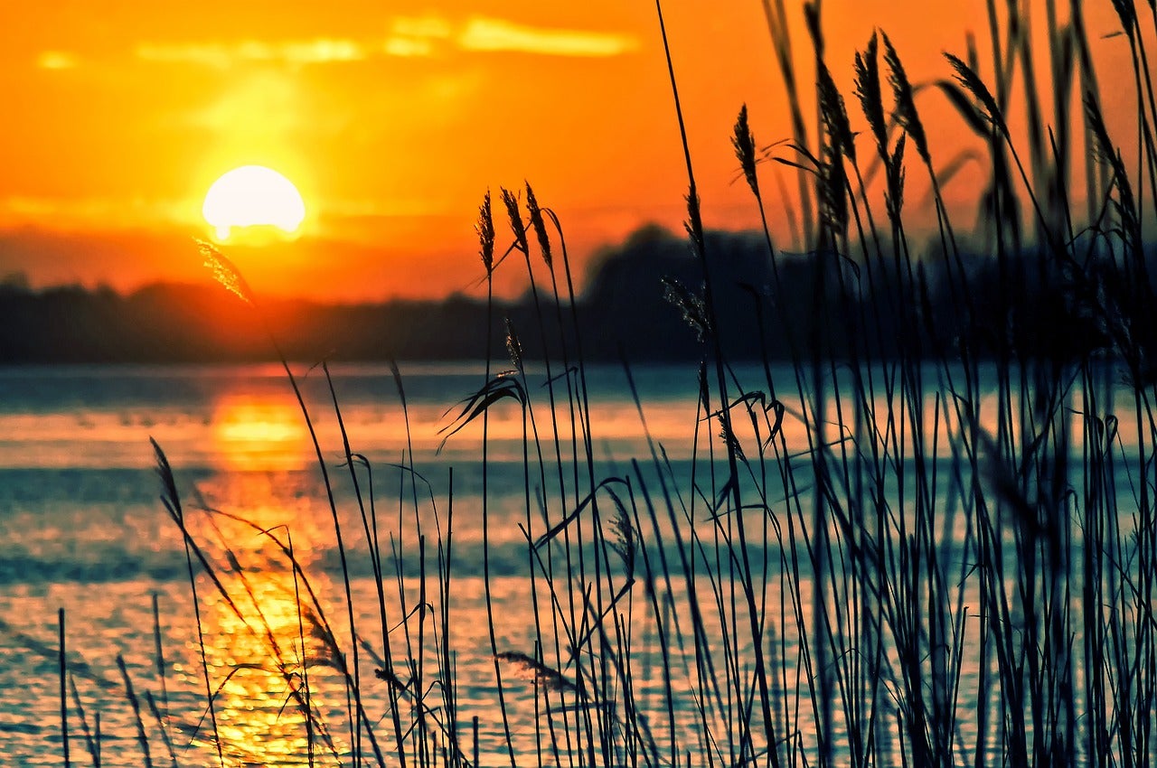 Sunset over body of water