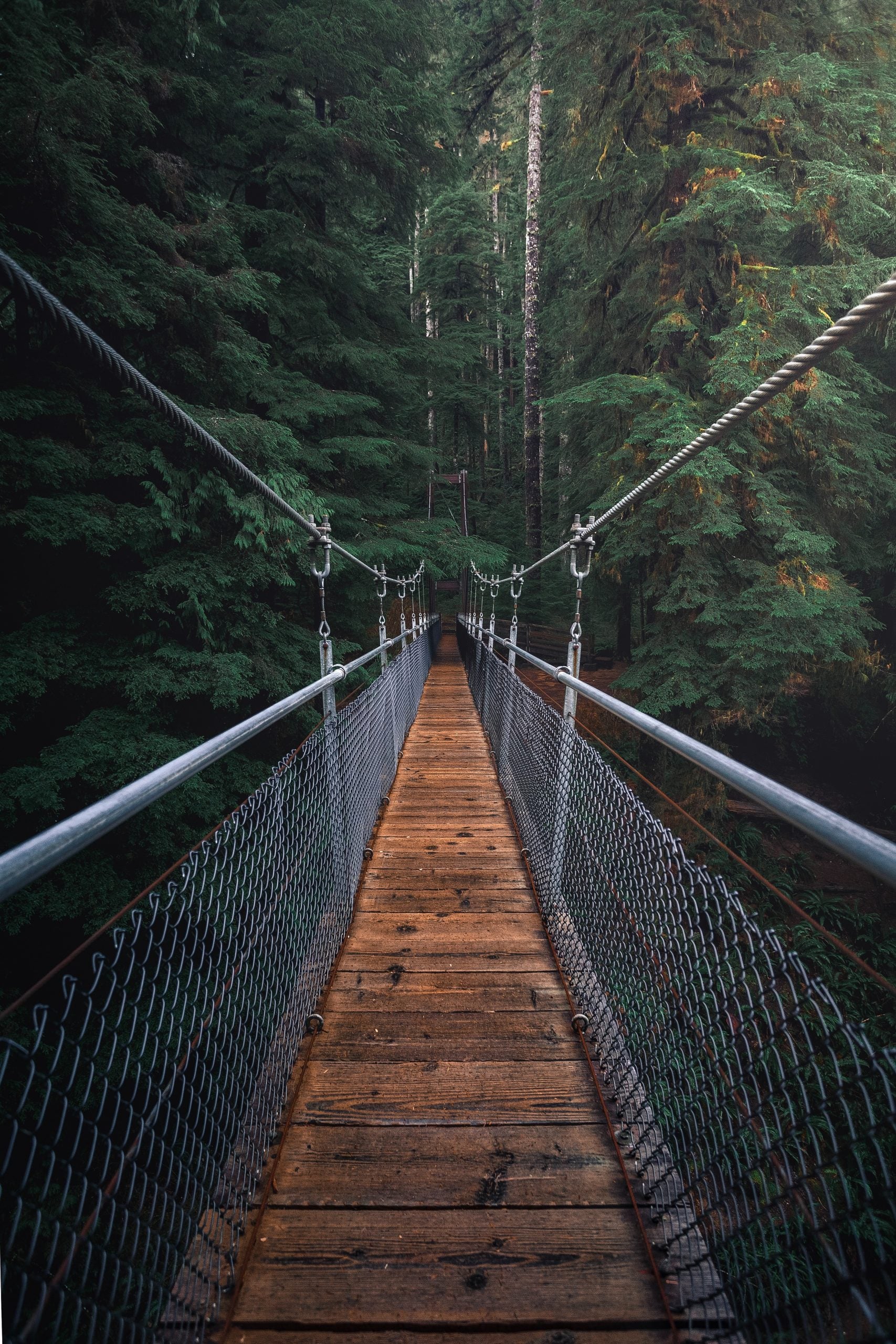 Rope Bridge