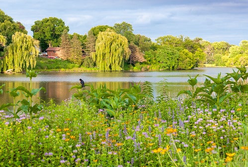 Parks in Rochester, MN | Rochester Mazda