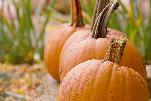 Events in Rochester, MN | Car Dealership in Rochester, MN