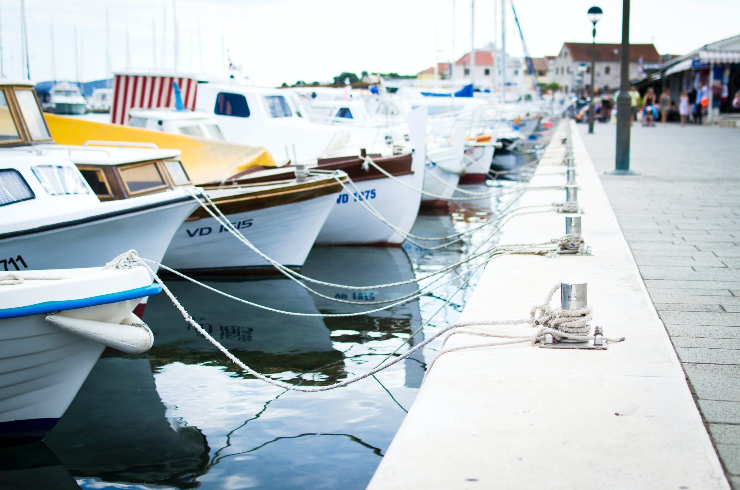 Boats in a harbor