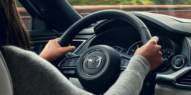Hands on Steering Wheel
