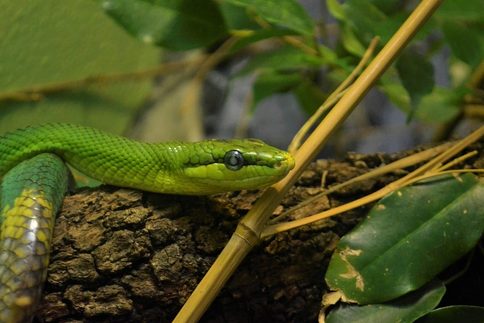 Zoo in Rochester, MN