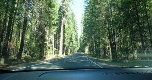 View from the windshield of a forest road in Wichita, KS