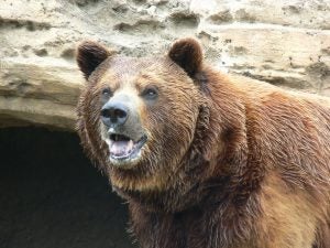 4 Animal Attractions in Wichita, KS - Davis-Moore CDJRF