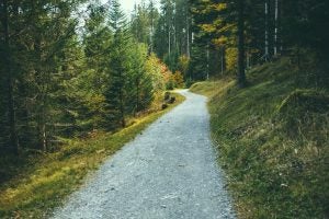 hiking trail