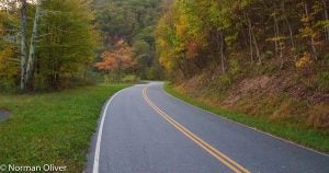 Beautiful highway through the woods