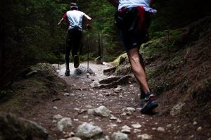mountain trail
