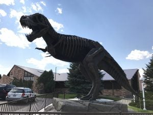 T-Rex outside the Tate Geological Museum