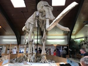 Tate Geological Museum in Casper