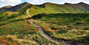 mountain trail
