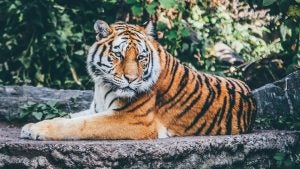 Family Attractions in Greenwood, IN