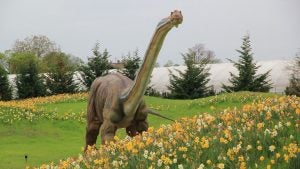 Children's Museum in Indianapolis, IN